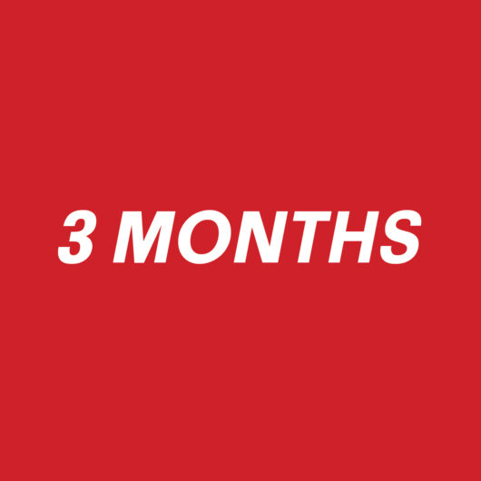 3 Months